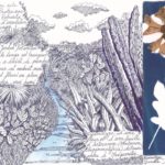 Carnet bleu