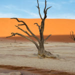 05-Sur-le-terrain-Namibie-Copyright-Alexandre-Sattler-1
