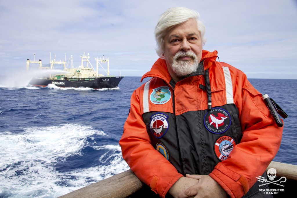 © Sea Shepherd France