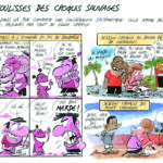 16 coulisses copie