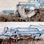 Camargue, buse, tracteur