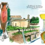 Catalan_Wine_Landscapes-10-1024x415
