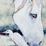 Héron garde-boeufs