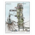 Anachrones, carnets d'un grand voyage onirique