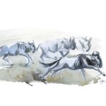 Sur les pistes de Namibie, Gnous