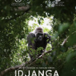 Idjanga, la forêt aux gorilles