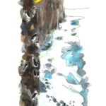 Islande_Macareux_21_-491x1024