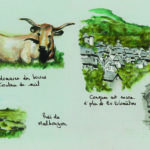 LE CARNET DU CHEMIN Planches_Page_09
