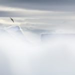 LL_La-douceur-de-la-glace-1024x683