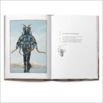 Anachrones, carnets d'un grand voyage onirique