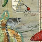 Mappa-Madagascar-320x1024