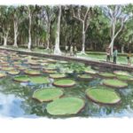 Pg-50-pamplemousse-le-9-04-2014-2-1024x728