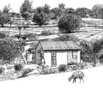 Rodrigues-La-Maison-de-Marie-Louis-Edouard-Rivière-Bananes-Rodrigues-22-Janvier-2018-1024x728