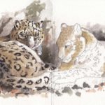 Snow-Leopard_FERRARI-1024x615