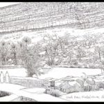 Wadi-Bani-Khaled-Oman-le-30-03-2019--1024x720