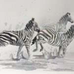 Zebra-1024x727