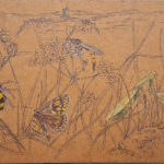 A hauteur d'insectes, Polignac, Haute-Loire