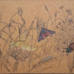 A hauteur d'insectes, Monts Dore