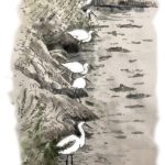 Camargue, aigrette martelière