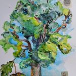 arbresrajouts_002