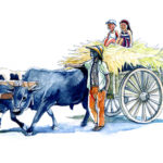 boeuf-charette_1