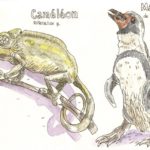 caméléon-et-manchot-1024x649