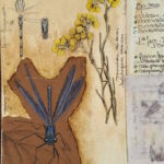 Carnet de terrain, Landes