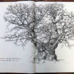 carnet_d-arbres