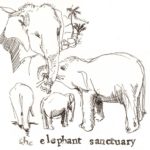carte-elephant-1024x1024