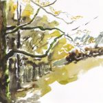 chartreuse_-44-
