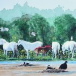 Camargue, chevaux, nids de foulques