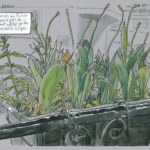 Carnet de confinement