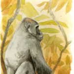 gorille_aquarelle_jpg-744x1024