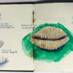 image5-1-1024x346