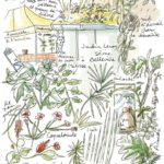 jardiniers_des_villes-48-705x1024