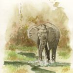 l-phant-747x1024