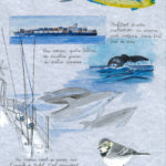 p67