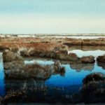 Camargue, Piemanson