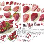 santi-salles.ilustracion-strawberries-1024x645