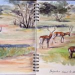 tanzanie2-1024x511