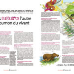 terresauvage2-1024x675