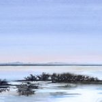 Camargue, Vacares