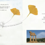 voyage-en-sicile6-1024x362